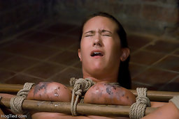 hogtie hook. trina michaels