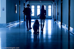 Training Report  Training Goals Progress: Sex Slave: Teach her that there is more to being a sex slave than fucking and sucking....