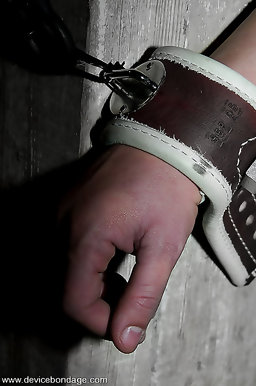 Alexa Von Tess Live, Part 2 The second half of Alexas live show had Alexa and Delilah Strong bound to posts facing each...