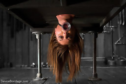 Cassandra Nix endures a no holds live show with intense and creative pain play, humiliation and cruel verbal, squirting orgasms,...