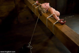 We get all kinds of girls on Hogtied, but Carly Parker was an original. Not just your typical porn star, Carly has an amazing...