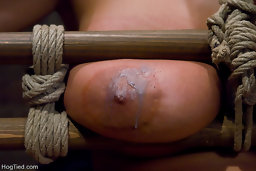 fuckingmachine dildo, trina michaels