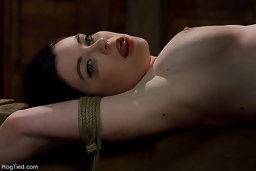 Sybil is one of those girls you can just love to hit. She takes pain like most people take candy, in big handfuls..... This...