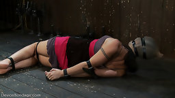 Two former college gymnasts get bound in metal bondage, and made to cum and and lick pussy.