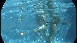 Unfortunately, we decided not to pursue BondageTrials as a new site. We were worried about models trying too hard to win...