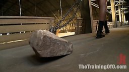 Training ProfileStatsAge: 20Breasts: realCup size: AStatus: unownedCategory: porn starHistoryadult industry since March 2011has...
