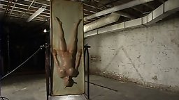 Each week, Internet surfers come to Hogtied to see whats new. Bondage collectors, bondage enthusiasts, bondage producers,...