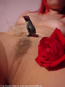 Pantyhose Lady set #0571