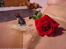 Pantyhose Lady set #0571