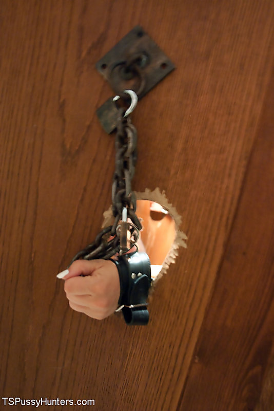 starting wonder jesssica fox