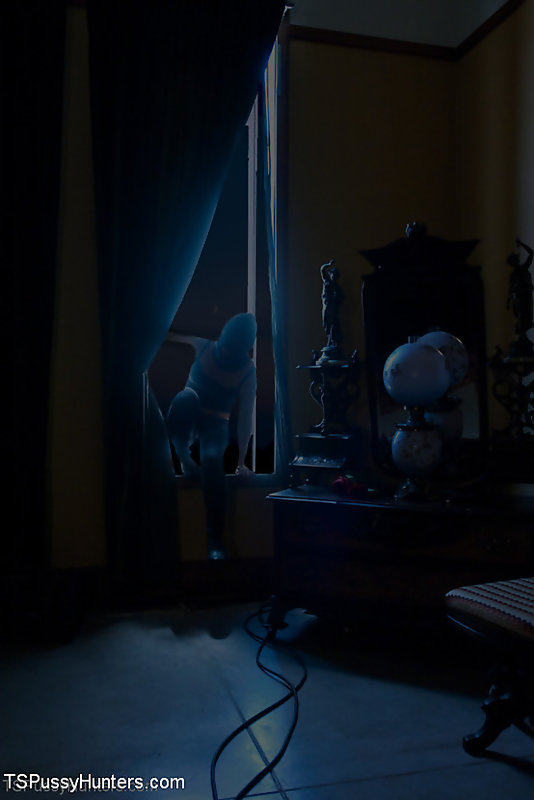 lesson punishes venus lux