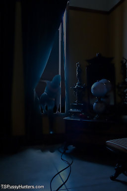 lesson punishes venus lux